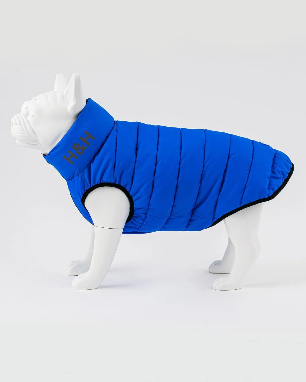 Reversible Dog Puffer Jacket - Blue and Navy